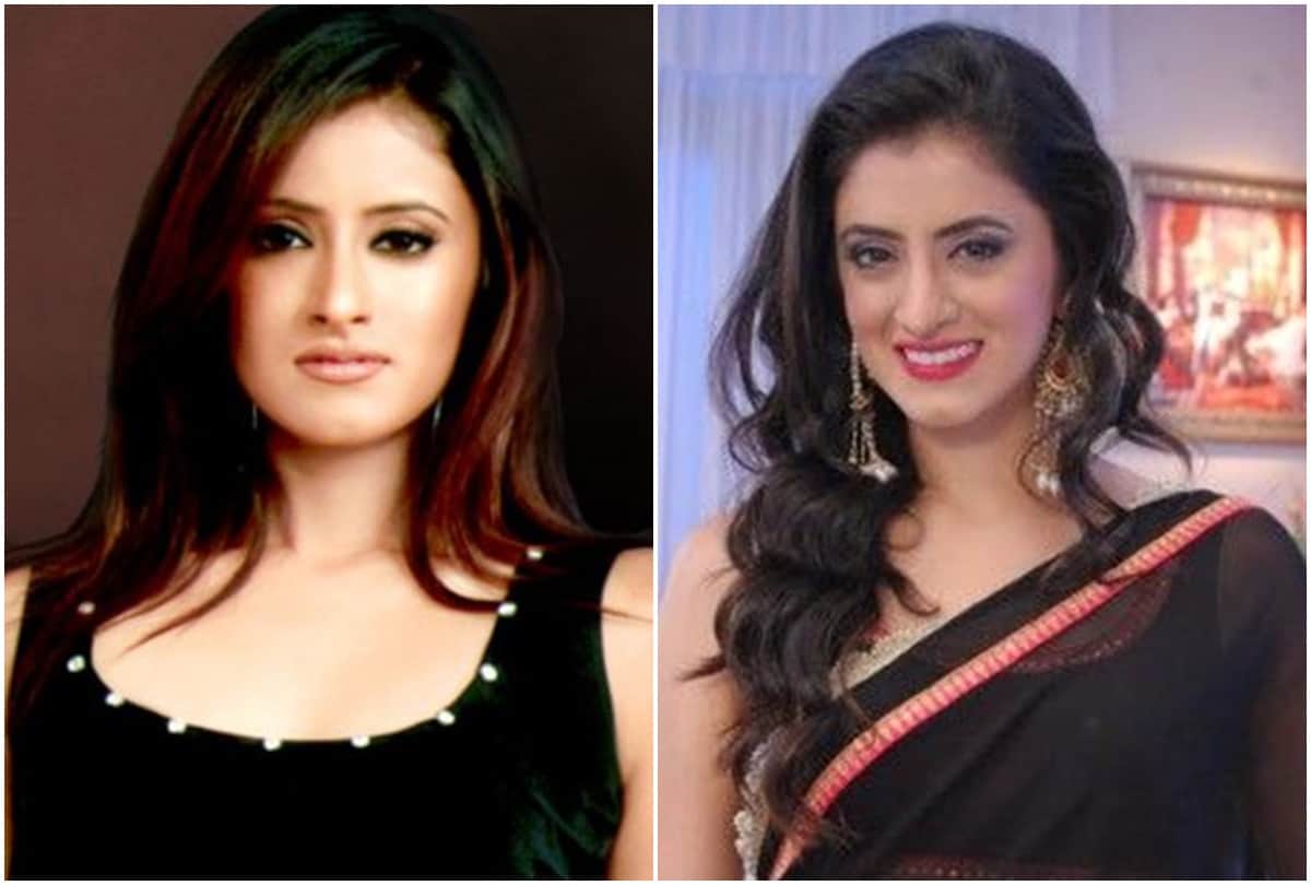 From Disha Vakani to Mohena Kumari these TV actresses left acting for family