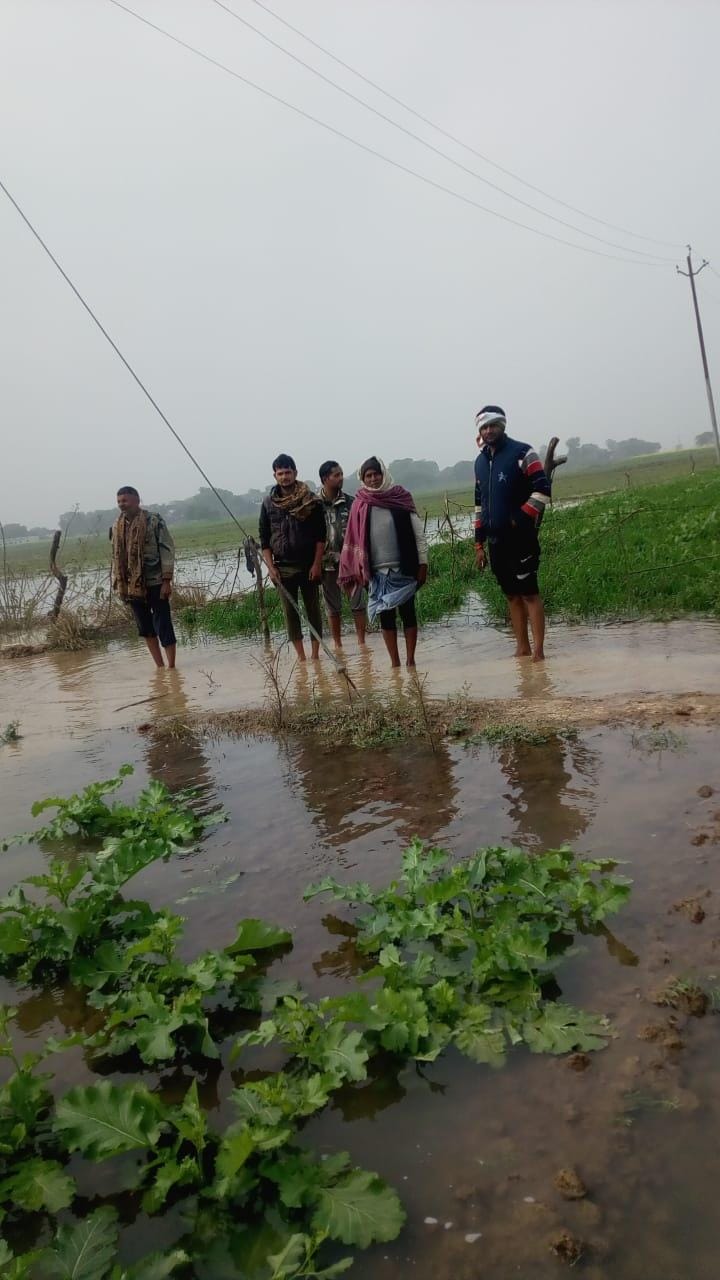Rajbaha became a trouble, hundreds of bigha crops submerged