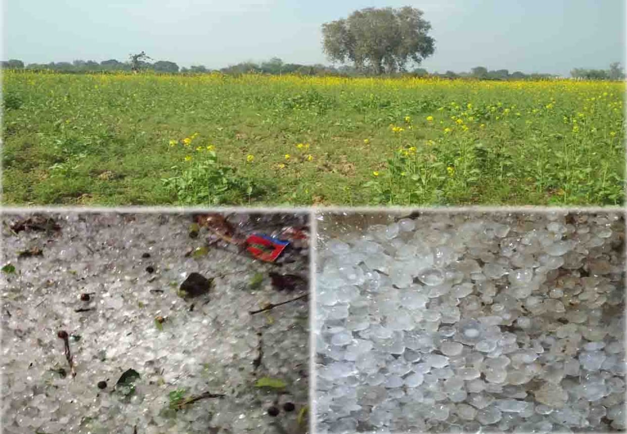 Farmers are suffering due to the harsh weather in up