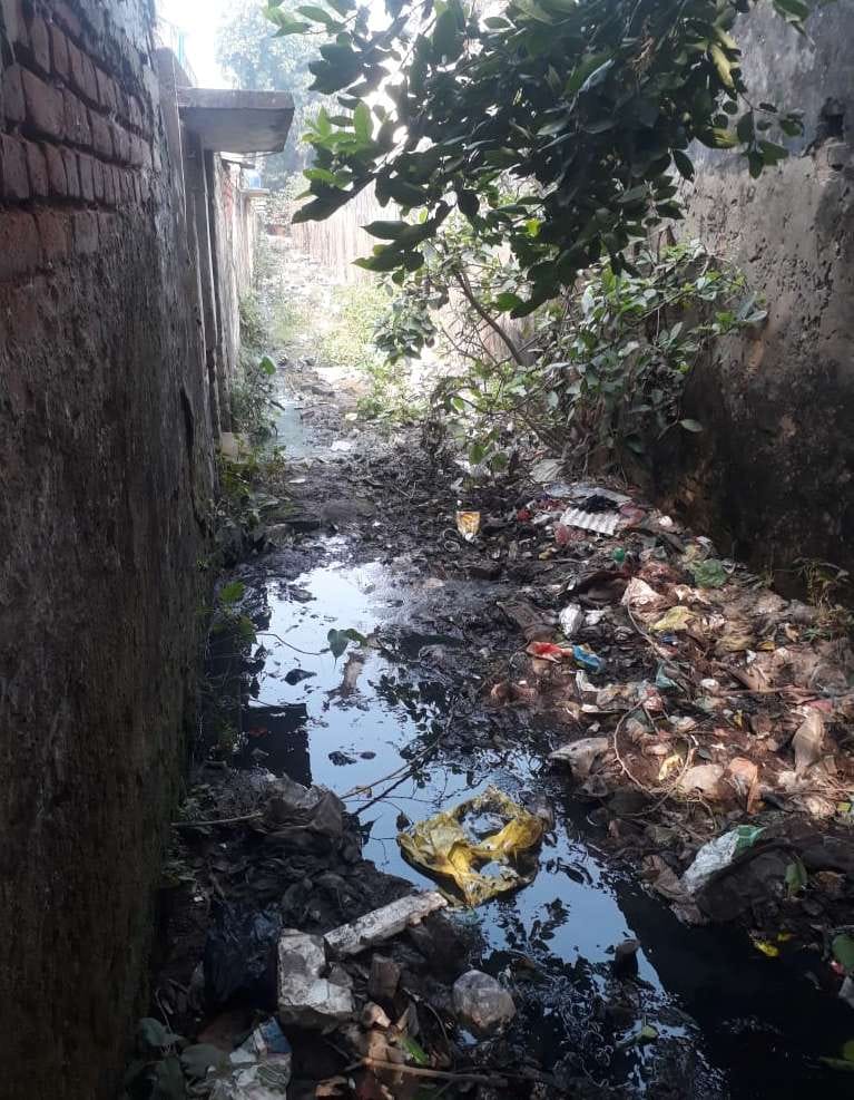 Waterlogging is a serious problem, drain water enters homes