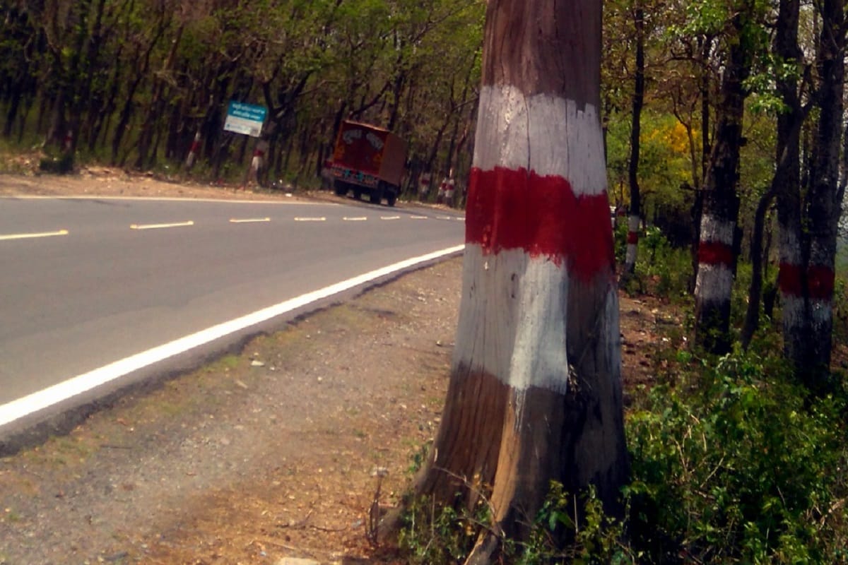 Baghpat, 3300 trees will be cut for Baghpat to Meerut Highway Construction