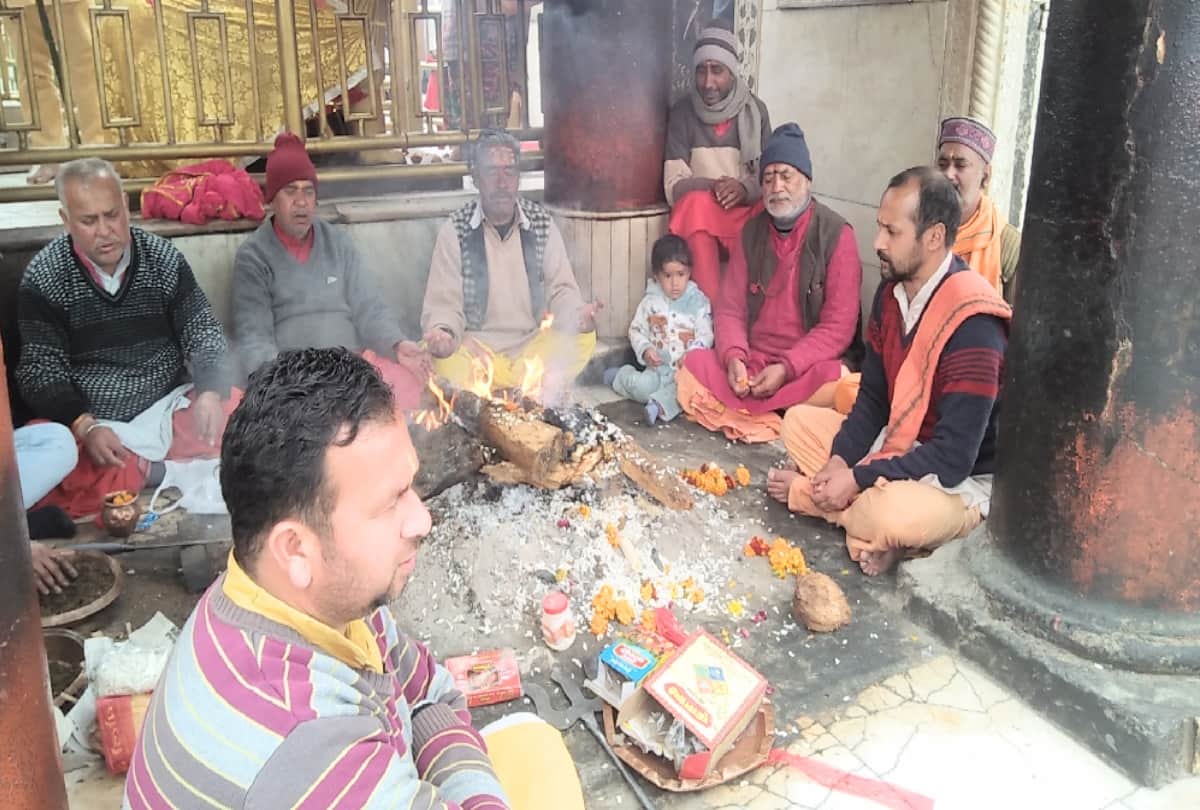 Celebration after jp Nadda appointed  national president of bjp, Workers perform nati in mandi
