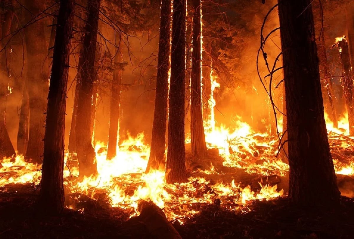 Fire uncontrolled in forest area of forest minister home area in Uttarakhand