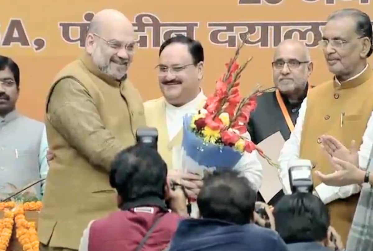 Celebration after jp Nadda appointed  national president of bjp, Workers perform nati in mandi