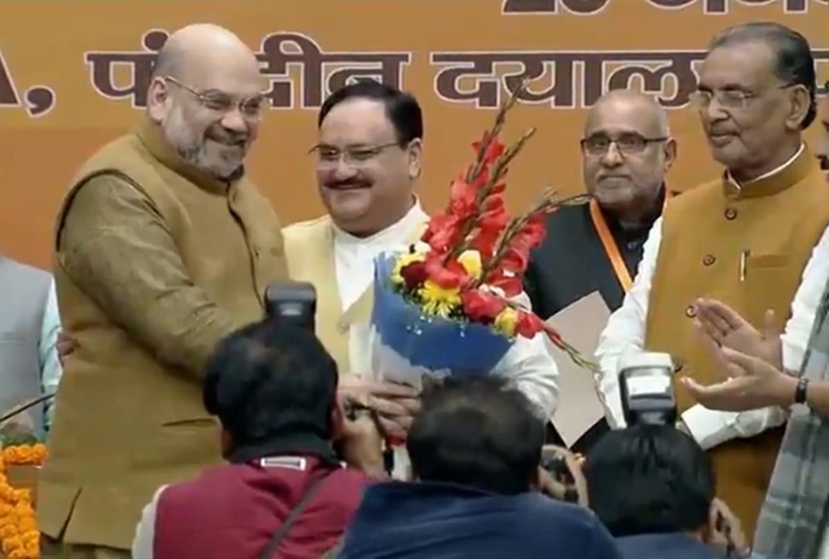 JP Nadda BJP President Profile: BJP chief live updates, narendra modi, amit shah