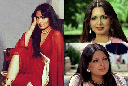 Parveen Babi Death Anniversary: Here Are Facts About Actress Life Stardom  Love Affairs And Death Mystery - Entertainment News: Amar Ujala - Parveen  Babi Death Anniversary:तीन अफेयर्स के बाद भी तन्हाई में