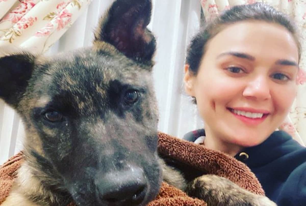 Preity Zinta Viral tweet saying her dog saves her life from drowing