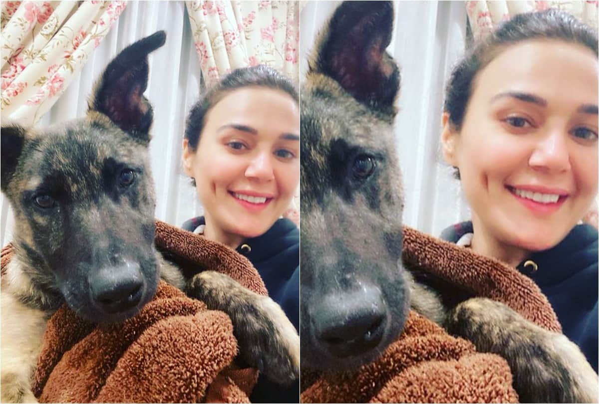 Preity Zinta Viral tweet saying her dog saves her life from drowing