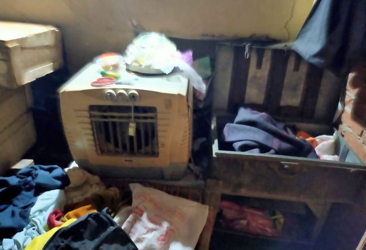 25 thousand rupees and jewelry stolen from Mali's house