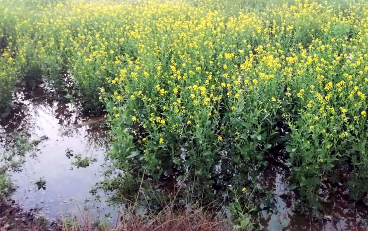 full with water