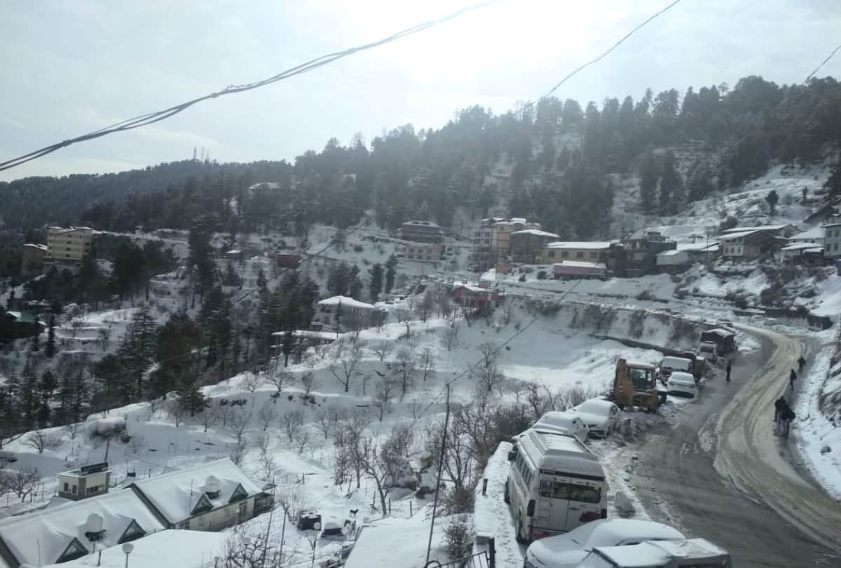 If you are planning to visit Shimla Kufri, then definitely read this news