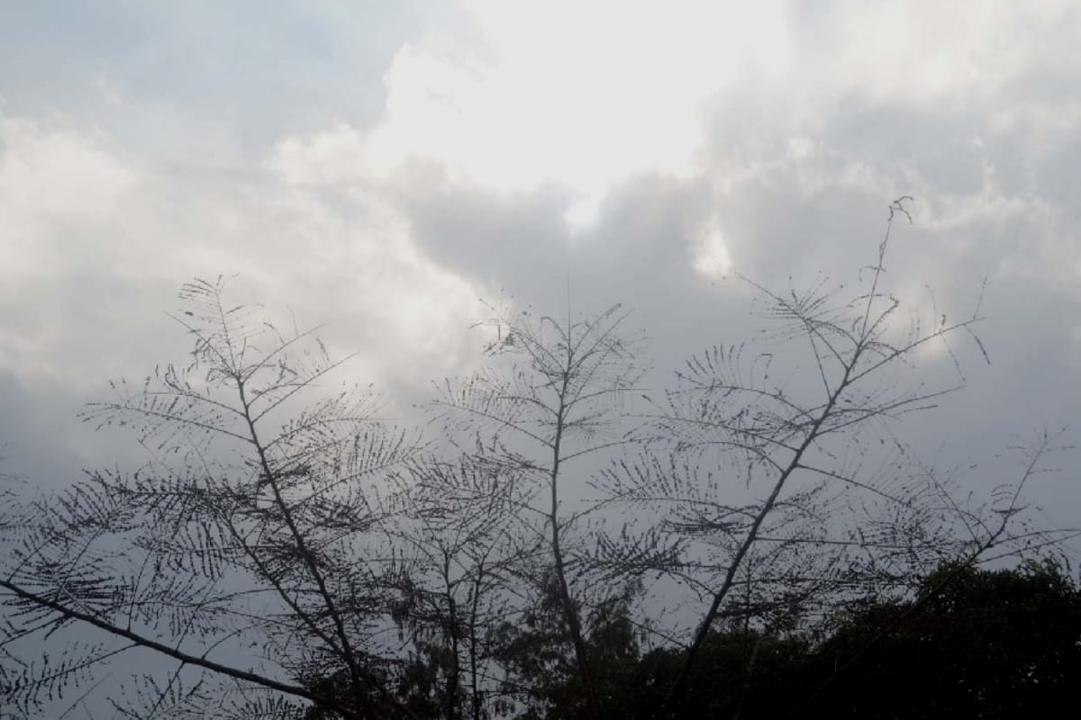 Western disturbance will be again active in haryana