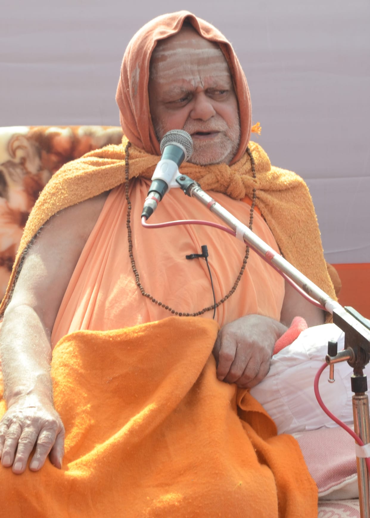 Shankaracharya Nischalananda advocated declaring India a Hindu nation