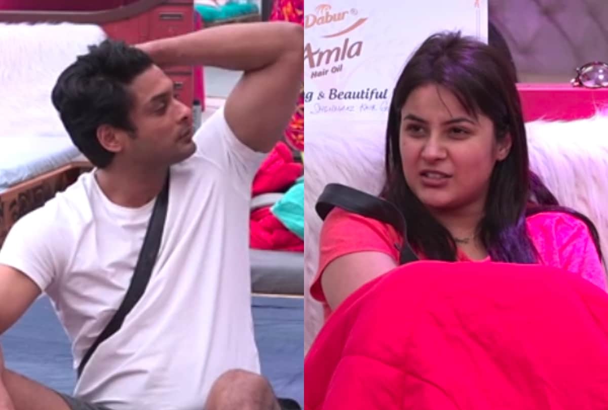 bigg boss 13 after sidharth shukla shehnaz gill fight fans trend born fighter sana