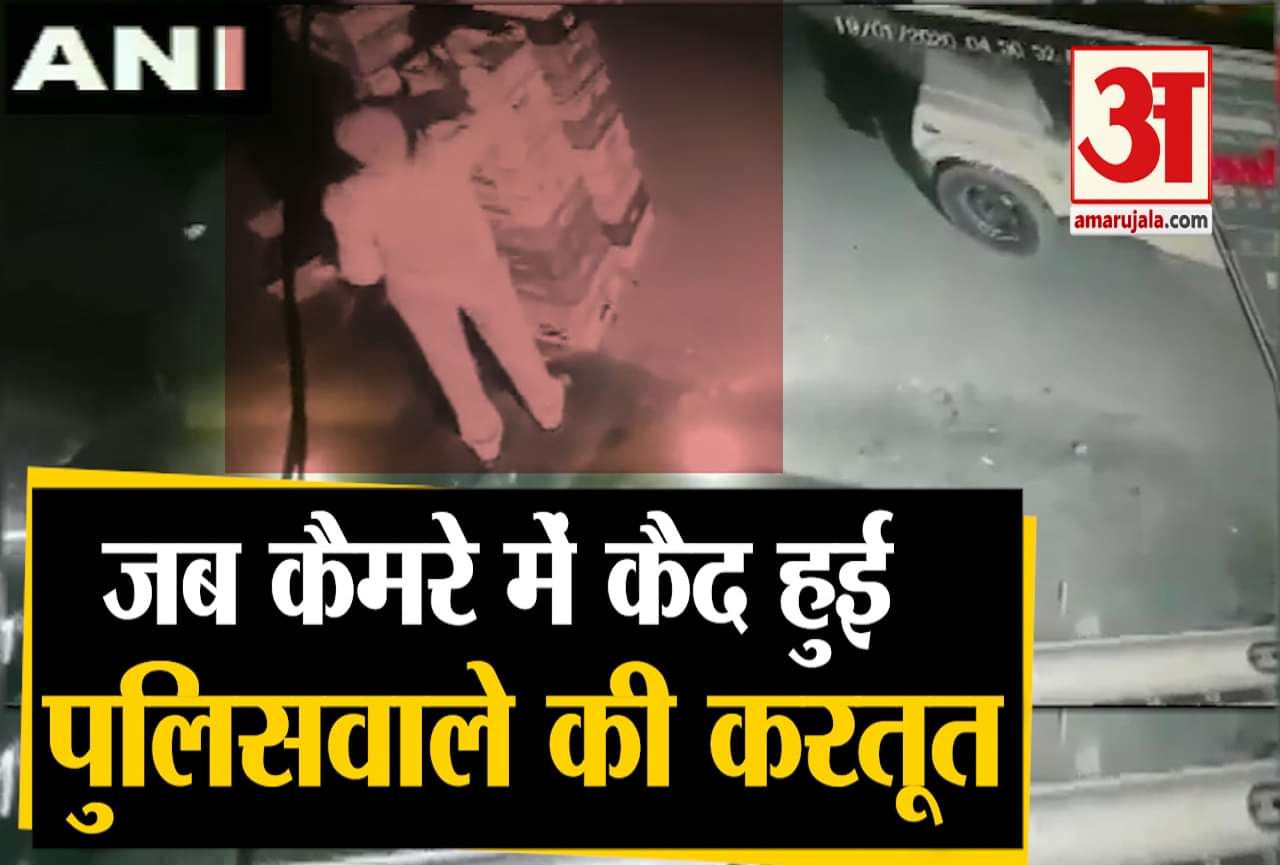 वायरल वीडियो