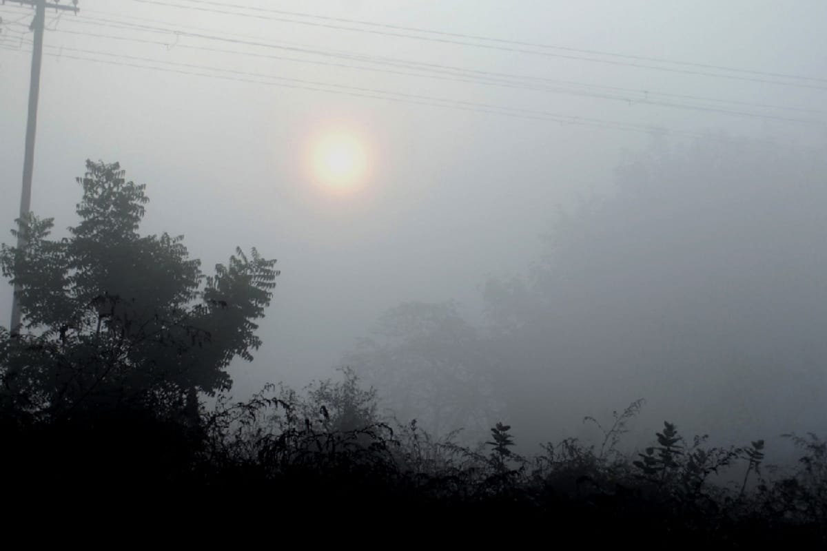 weather news, Winter on Top, rain, fog and cold waves in several districts in Western UP