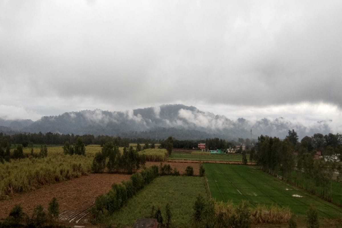 weather news, Winter on Top, rain, fog and cold waves in several districts in Western UP