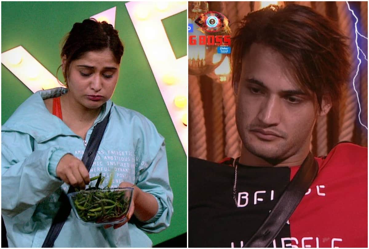 Bigg Boss 13 7 contestant nominated Siddharth Shukla Shehnaz Kaur Gill is safe