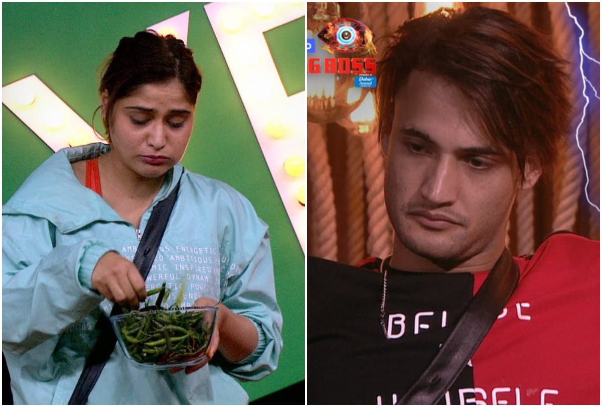 Bigg Boss 13 7 contestant nominated Siddharth Shukla Shehnaz Kaur Gill is safe