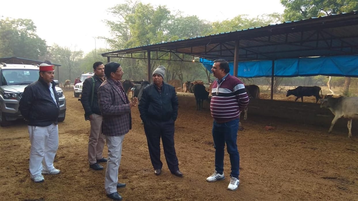 Hathras: Seeing the chaos in the cowshed
