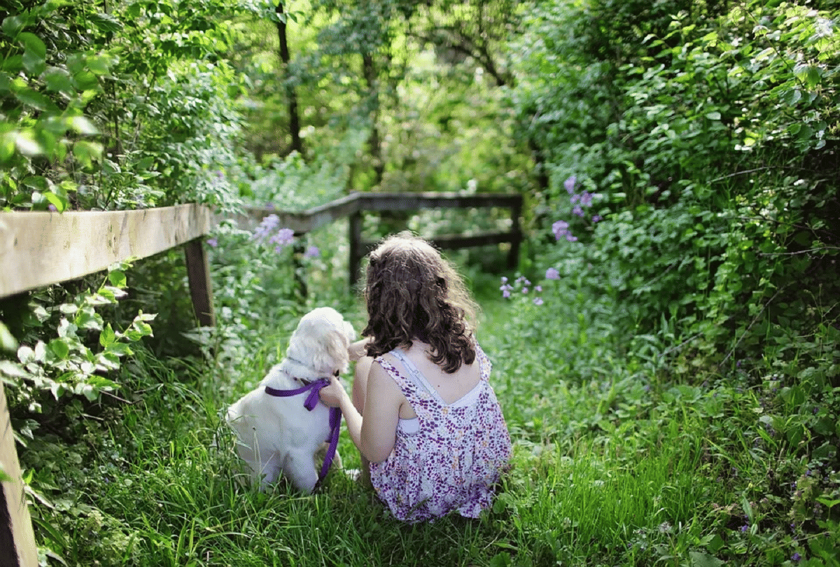 Playing with dogs can help children be better socially and emotionally claimed in research