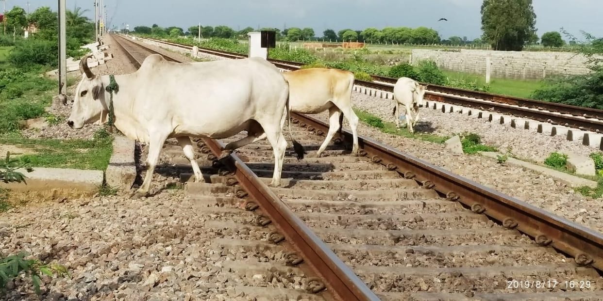 train, orai news