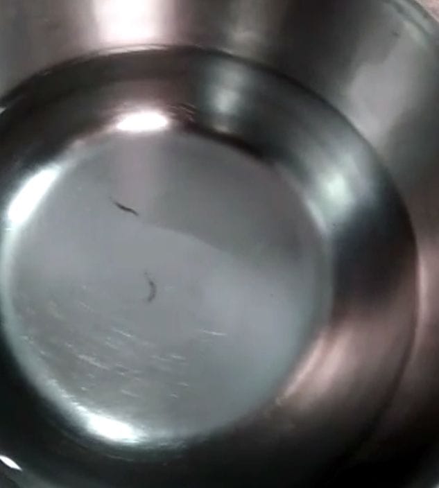 Insects coming in drinking water in Jwalapur