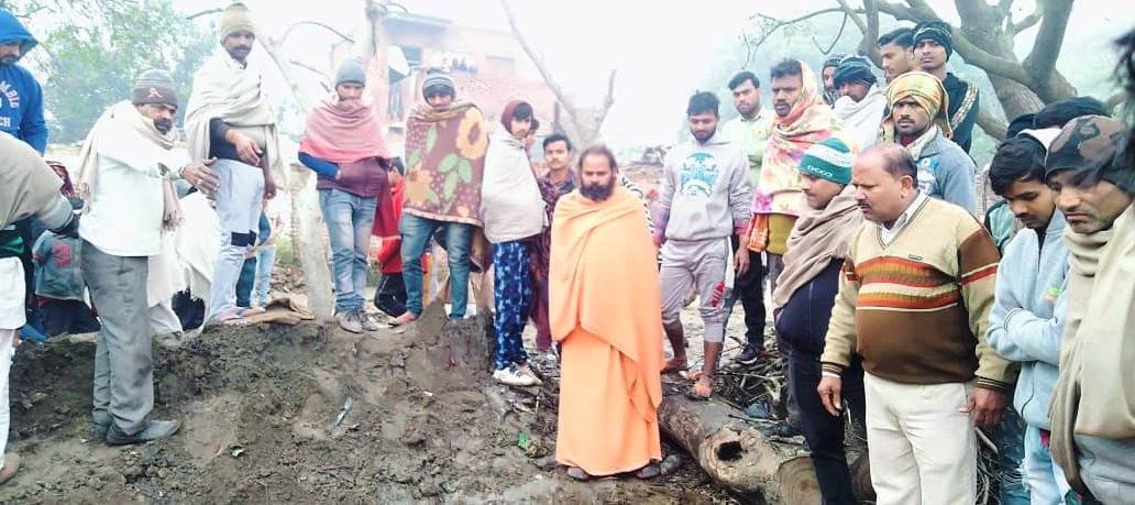 Five cows died due to subsidence in swamp