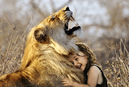 world lion day 2021,  India saw steady Increase in Lion Population in last few years