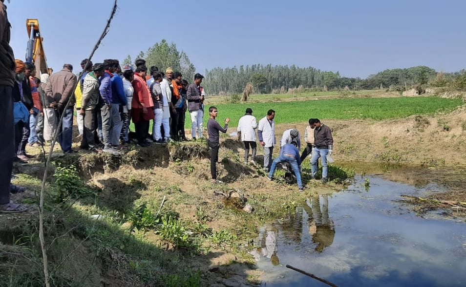 Dead bodies of 25 cattle found in Gomti river