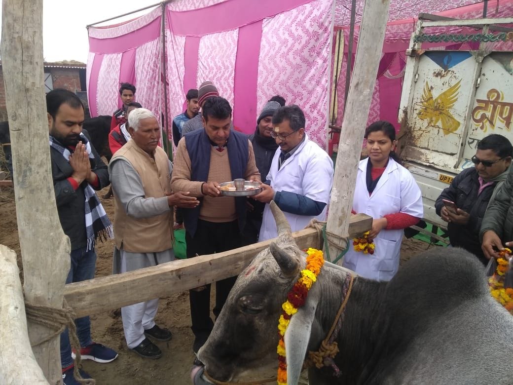 information of schemes to cattle rearers