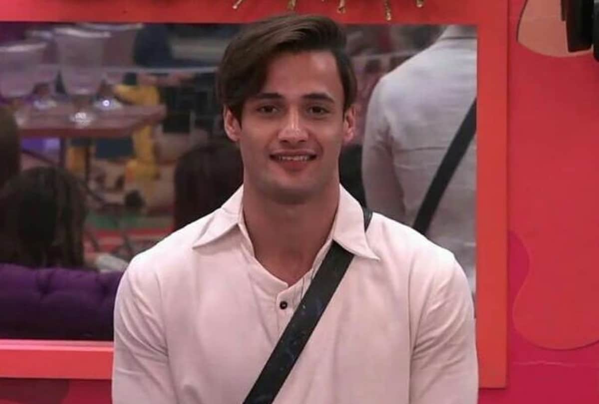 Bigg Boss 13 hashtag Asimforthewin trends on Social Media more than Budget 2020