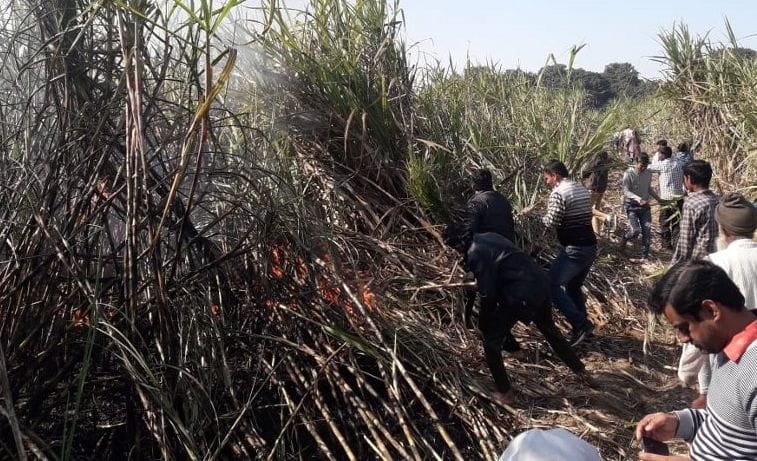 Sugarcane burns with spark