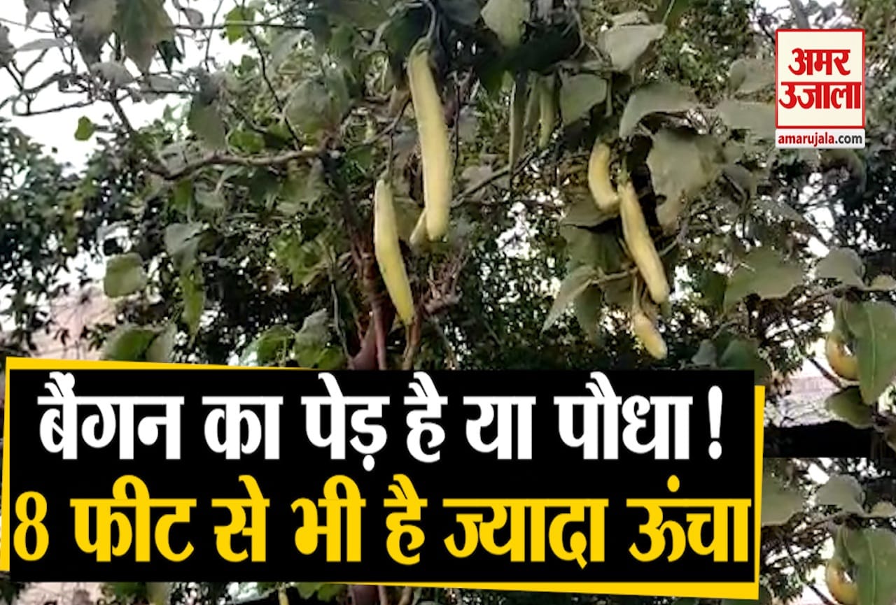 कानपुर