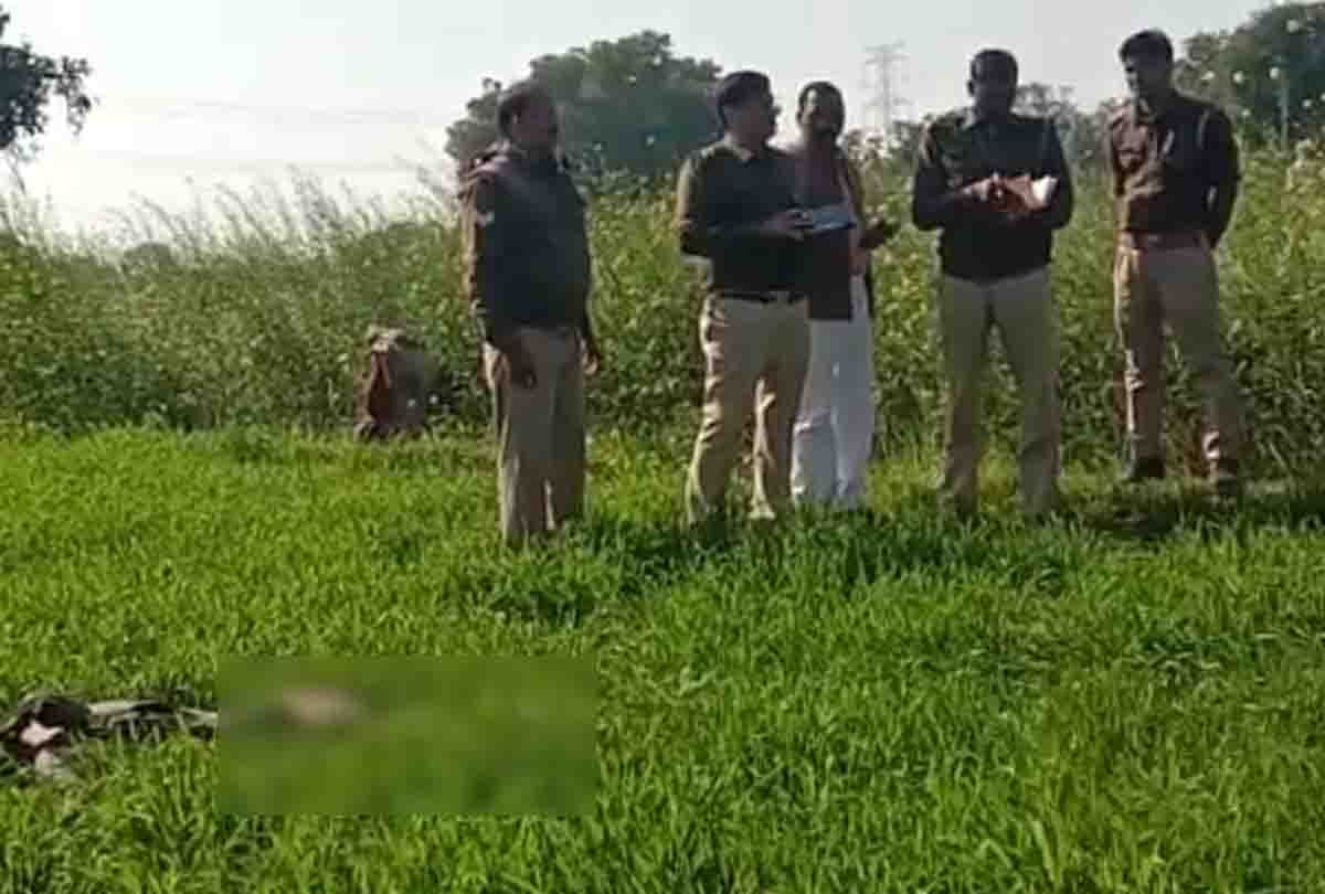 nephew's relationship with daughter, father and brutally murdered him