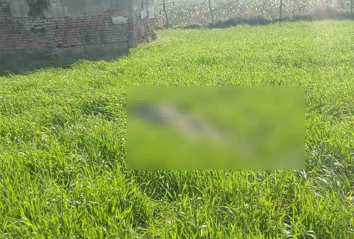 nephew's relationship with daughter, father and brutally murdered him