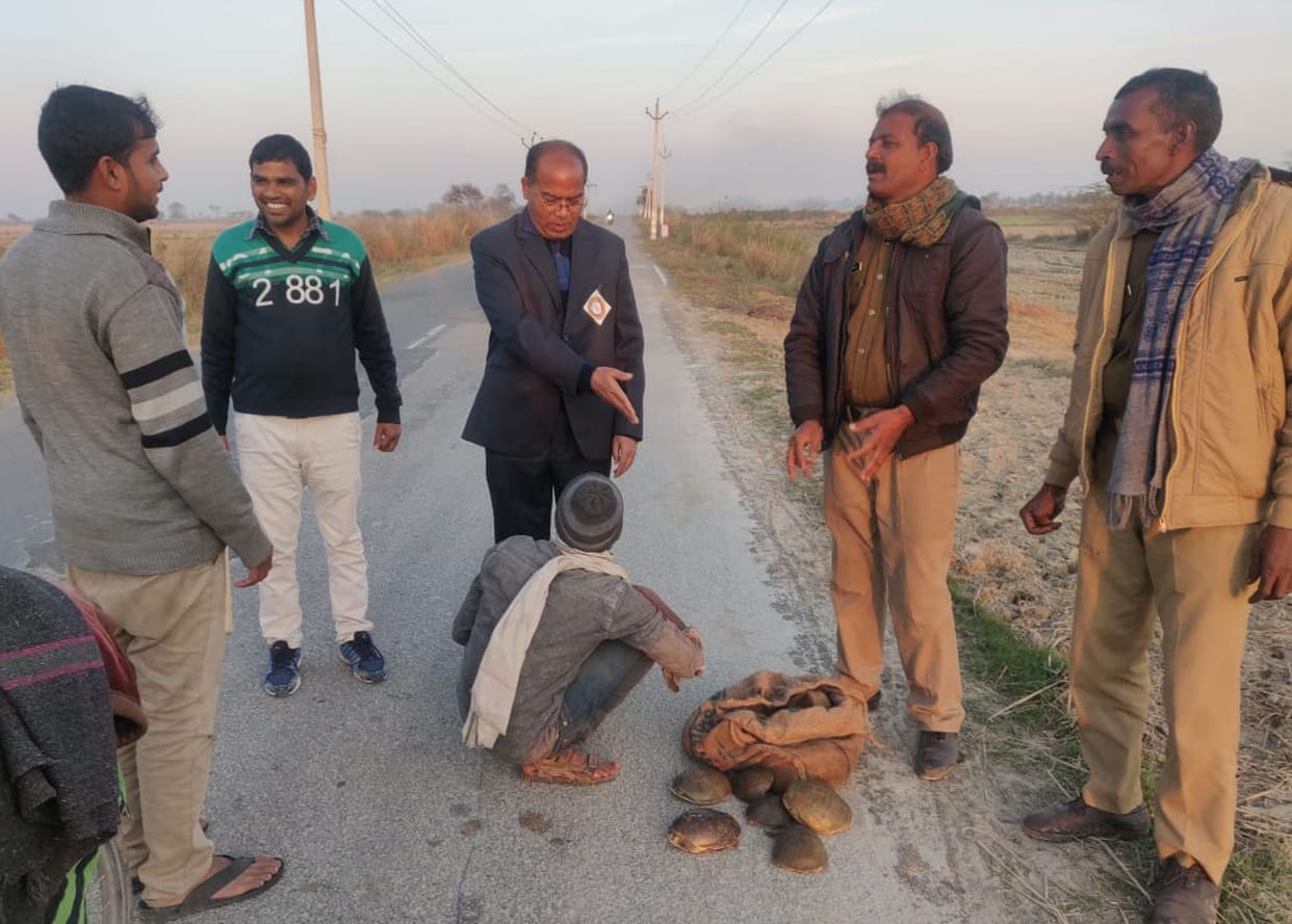 sdm caught 50 crocodile