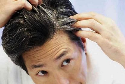 Hair Care:बालों को काला करने के लिए करी पत्ते का करें इस तरह इस्तेमाल - Curry Leaves To Turn Grey Hair In Black Naturally - Amar Ujala Hindi News Live Hair Care:बालों को काला करने के लिए करी पत्ते का करें इस तरह इस्तेमाल - Curry Leaves To Turn Grey Hair In Black Naturally - Amar Ujala Hindi News Live