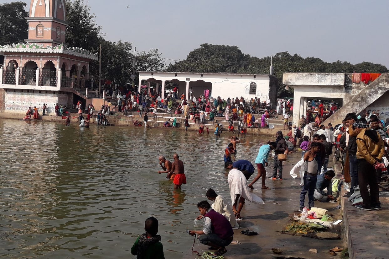 Faith rose on the mauni amavasya