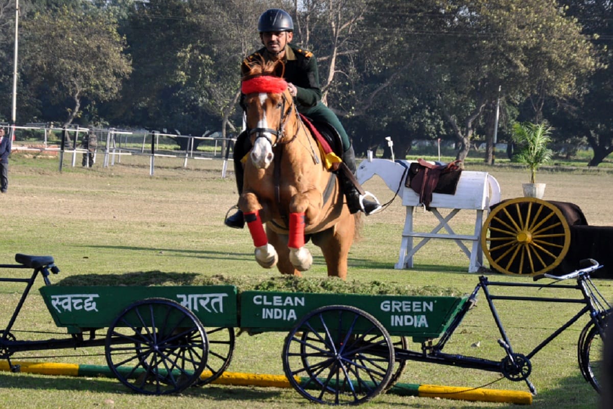The display of military horse was astonishing