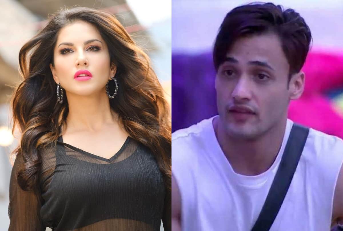 Bigg Boss 13 News Asim Riaz may seen in mahesh bhatt film with Sunny Leone