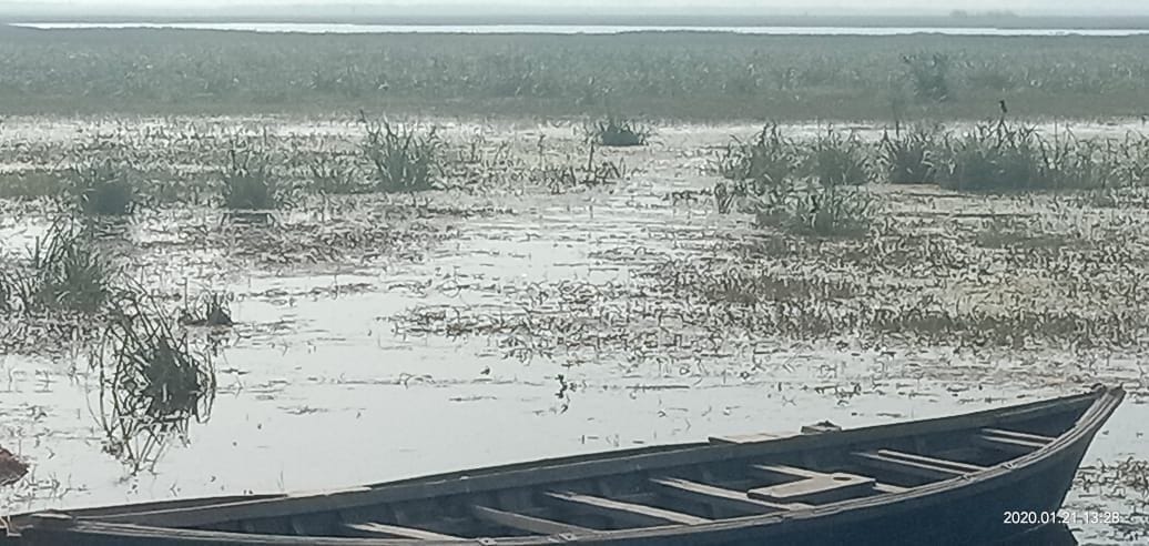 Biodiversity park to be built in Alwara, boating will also be done