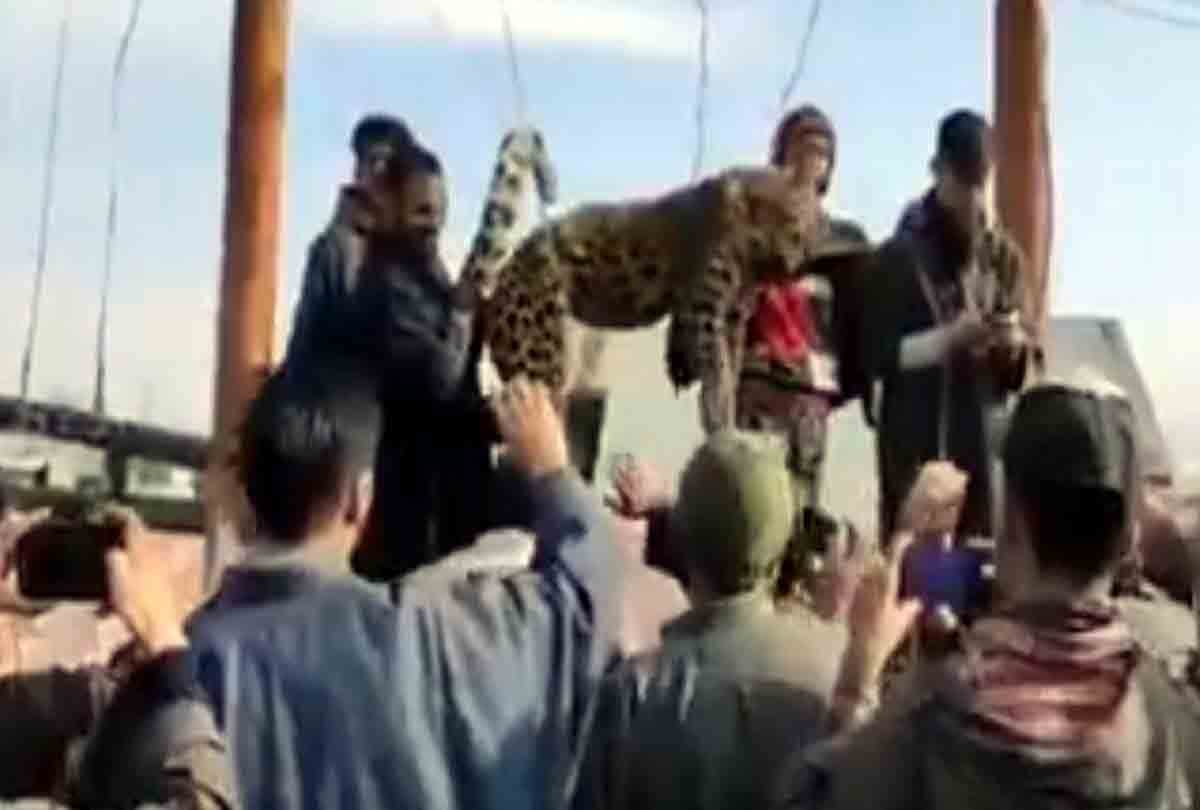 People brutally killed the leopard In pulwama jammu kashmir