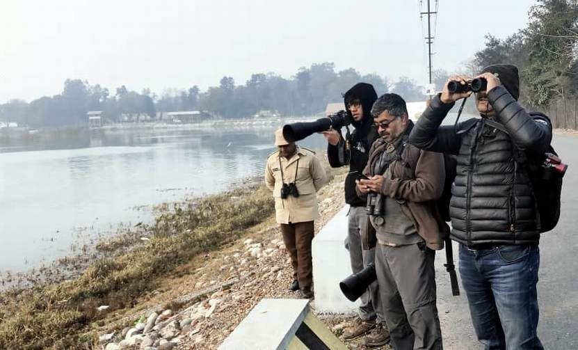 4466 birds of 50 species knocked in the Asan lake
