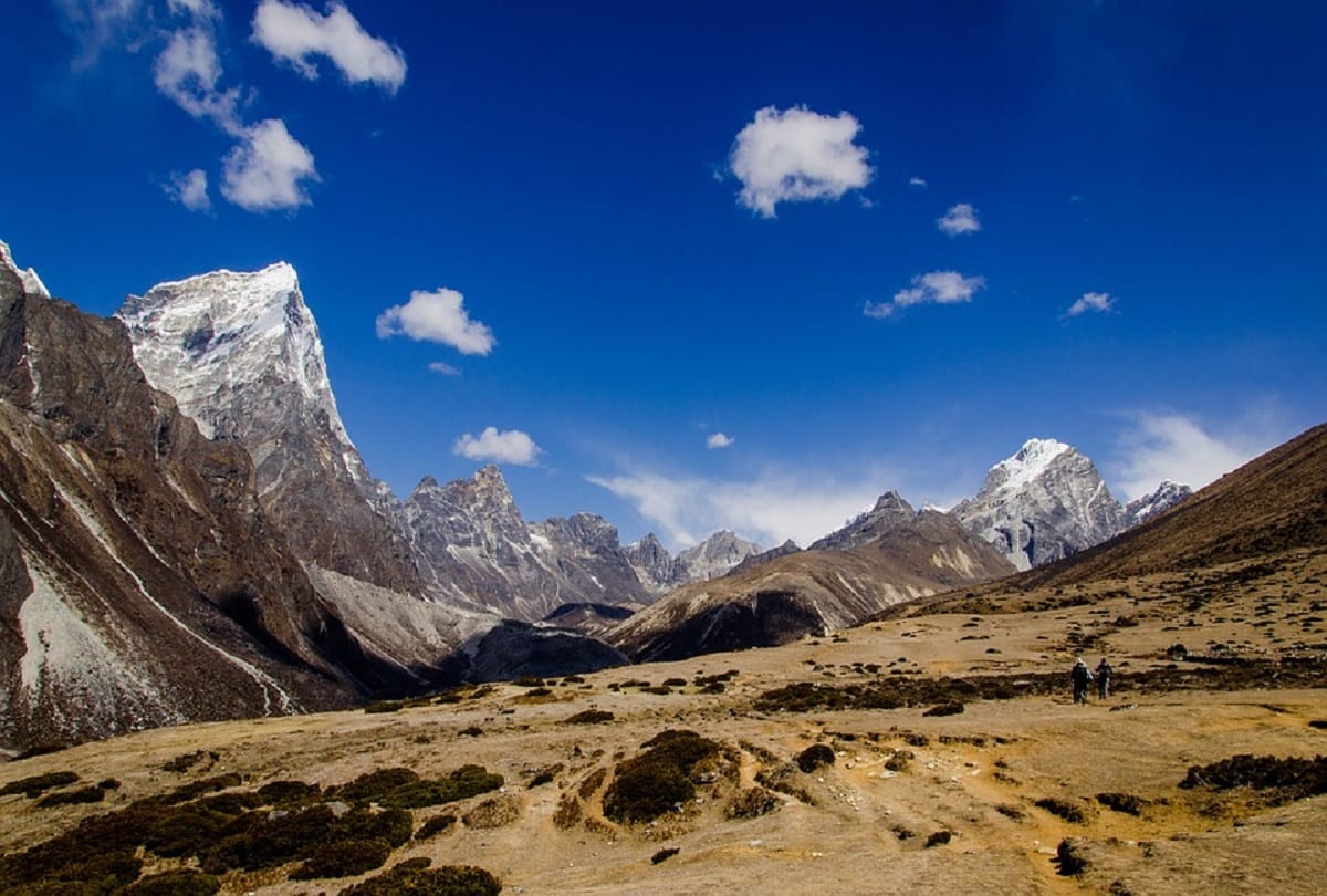 Why are new plants suddenly growing on the Himalayas