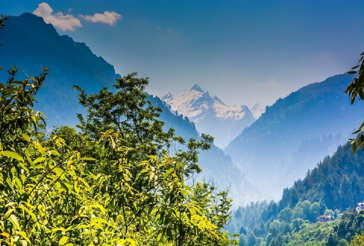 Why are new plants suddenly growing on the Himalayas