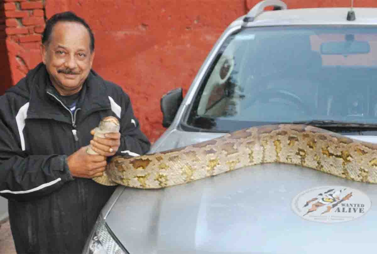 Animal-loving doctor rescues injured dragon from beating