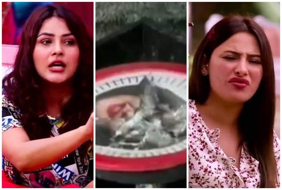 Bigg Boss 13 latest news Mahira Sharma targets Shehnaz Kaur Gill Shefali Jariwala on Rashami Desai