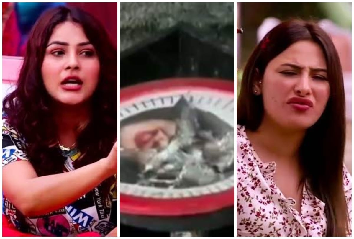 Bigg Boss 13 latest news Mahira Sharma targets Shehnaz Kaur Gill Shefali Jariwala on Rashami Desai