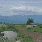 सांकेतिक तस्वीर...